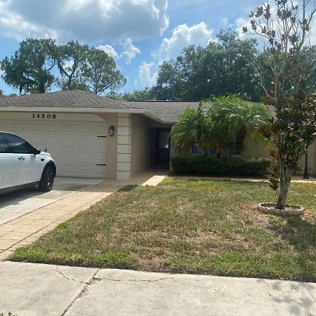 Vila Cheerful 3 Bed House In A Cul- De-Sac! Tampa Exteriér fotografie