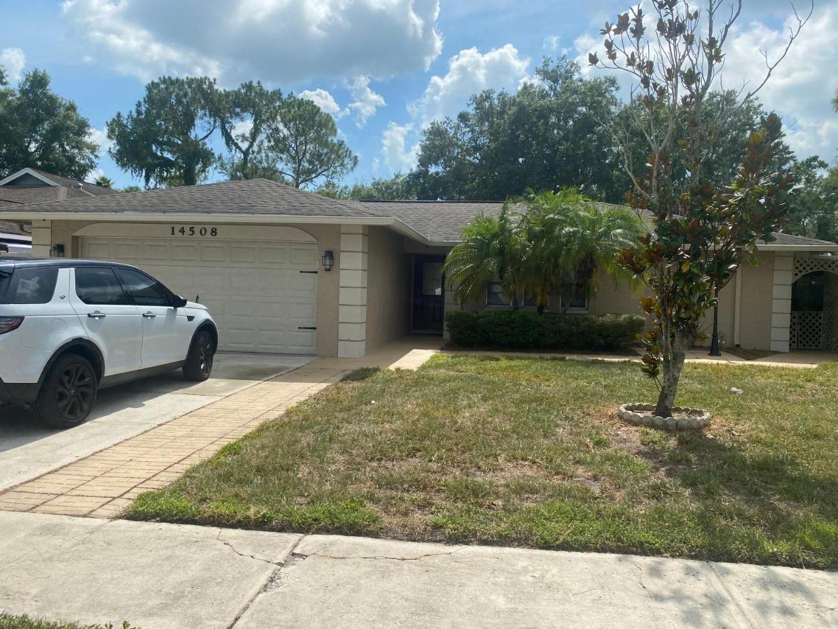 Vila Cheerful 3 Bed House In A Cul- De-Sac! Tampa Exteriér fotografie
